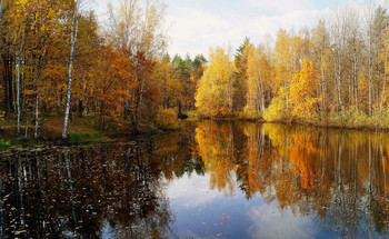 Herbst-Landschaft / ***