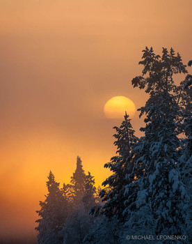 Winternebel / ***