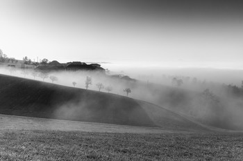 Oktobernebel / Nebelstimmung in Ottensheim - Dürnberg