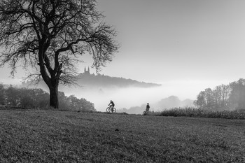 Über dem Nebel / Blick auf den Pöstlingberg in Linz