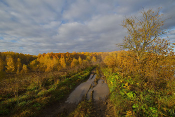 Straße zum Herbst / ***