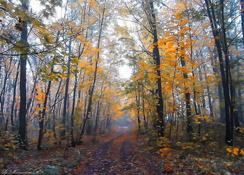 letzten Farben des Herbstes / ...