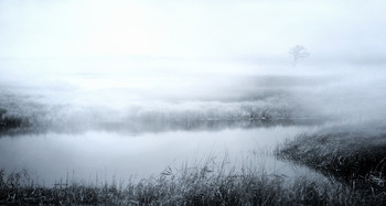 Herbstnebel ... / ***