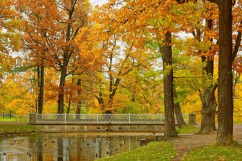 Goldener Herbst / ***