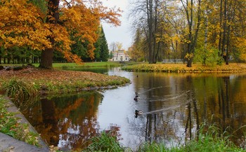 Herbstmorgen ... / ***