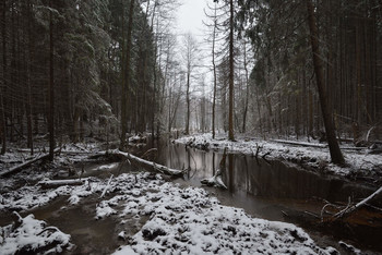 Der erste Schnee / ***