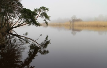 Spiegelung / ***