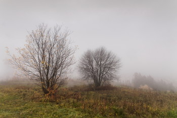 Romantik im Herbst / ***