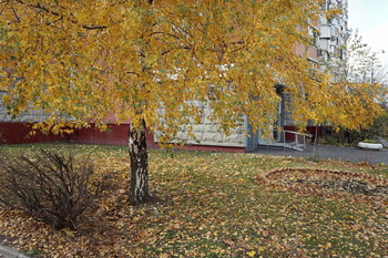 Goldener Herbst / ***