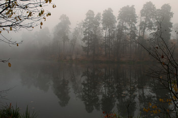 Morgen auf dem See. / ***