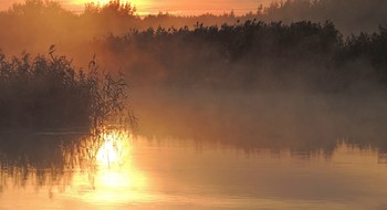 in den herbstlichen Wald / ***