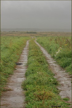 Rainy Stimmung / ***