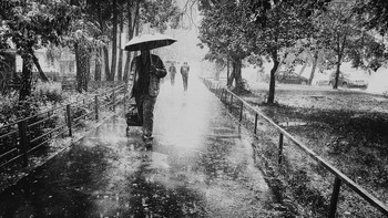 Rainy Stimmung / Summer rain