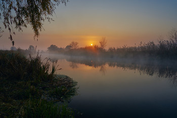 Morgennebel / ***