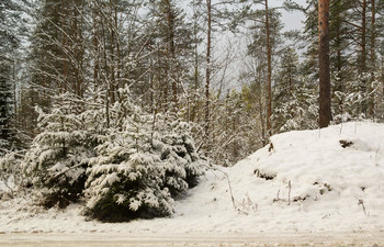 Schnee im Oktober / ***