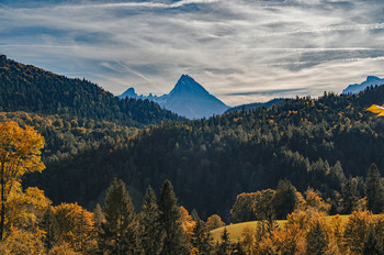 Herbst - Bergwald / Mit Watzmann in den Alpen