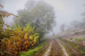 Foggy morning .. / ***