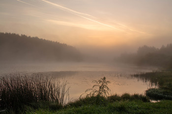 Morgendämmerung / ***