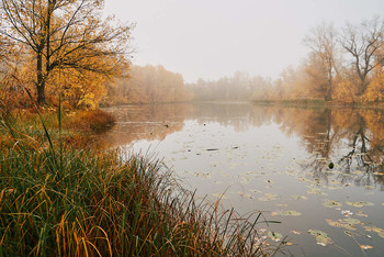 Auf dem See / ***