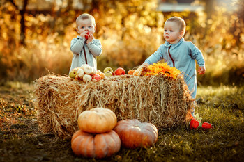 Geschenke des Herbstes / ***