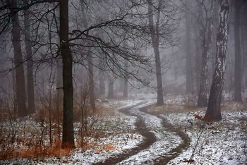 Straße im Nebel / ...