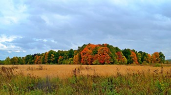 Bunte Herbst / ***