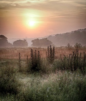 Aufgang der Sonne / ***