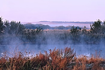 Nebel, Nebel ... / ***