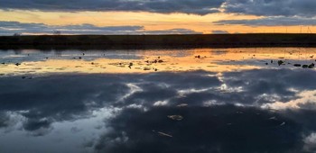 Sonnenuntergang über dem Fluss / ***