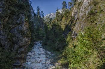 Almbachklam / Schlucht in den Alpen