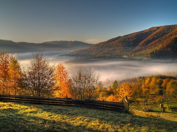 &nbsp; / [img]https://i.imgur.com/SK1SL0G.jpg[/img]
[img]https://i.imgur.com/0eVfbWz.jpg[/img]
[img]https://i.imgur.com/V5fpGgd.jpg[/img]
[img]https://i.imgur.com/vKlg9Ad.jpg[/img]
[img]https://i.imgur.com/4h1UkfU.jpg[/img]
