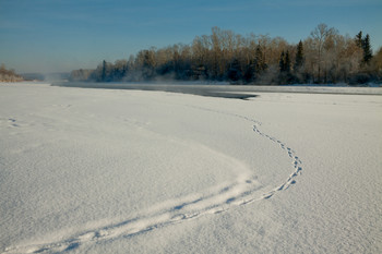 Footprints / ***