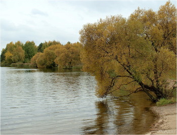 Herbst-Strand / ***