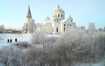 Frosty day / ***