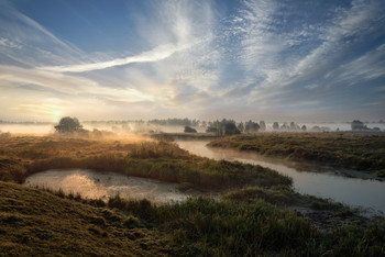 Nebliger Morgen / ***