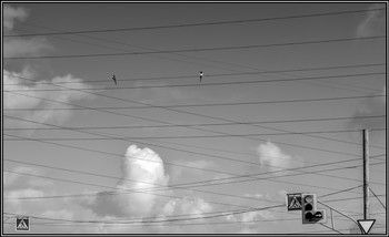 Kreuzung / ***