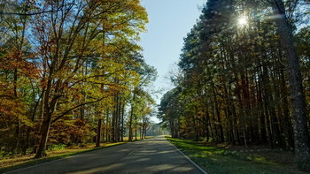 Natchez Trail / ***