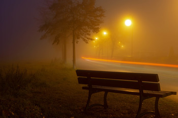 Nebelbank / Abendlicher Spaziergang im Nebel.