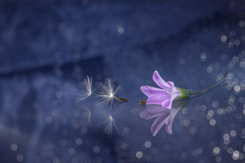 Zärtlichkeit / 2019