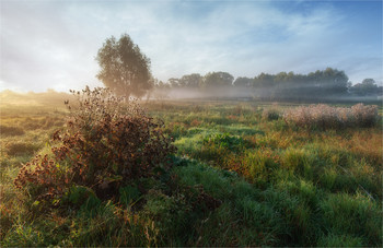 Herbstmorgen / ***