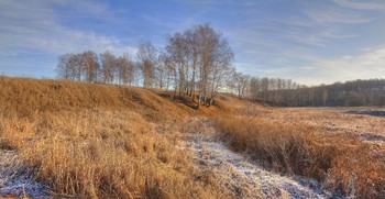 Frosty morning / ***