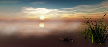 Drew Aufmerksamkeit / ***