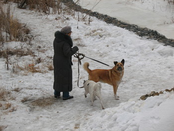 Drew Aufmerksamkeit / ***