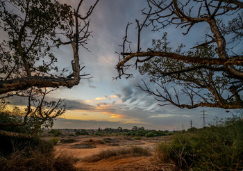 Drew Aufmerksamkeit / ***