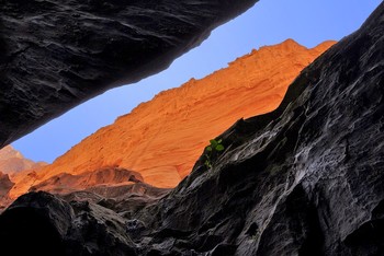 Drew Aufmerksamkeit / ***