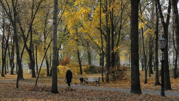 Im Herbst Park / ***