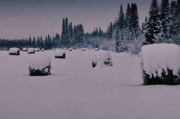 Nach einem Schneefall. / ***