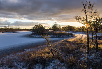 Hallo, Zimushka! / ***