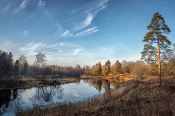 The November landscape. Gatchina. Russia. / The November landscape. Gatchina. Russia.