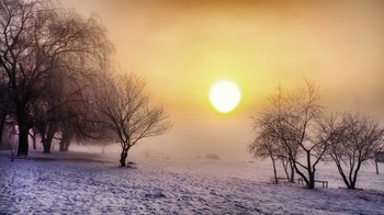 Frosty der Sonne / ***